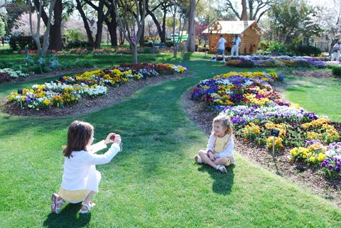 A Budding Photographer