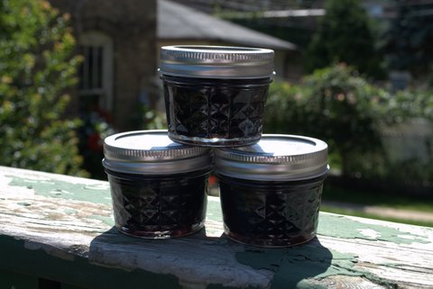 Blueberry Jam