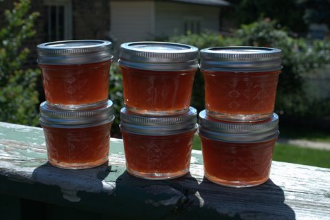 Golden Plum Jam