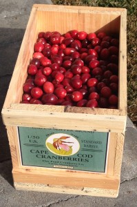 My delivery of Flax Pond cranberries in a hand crafted crate