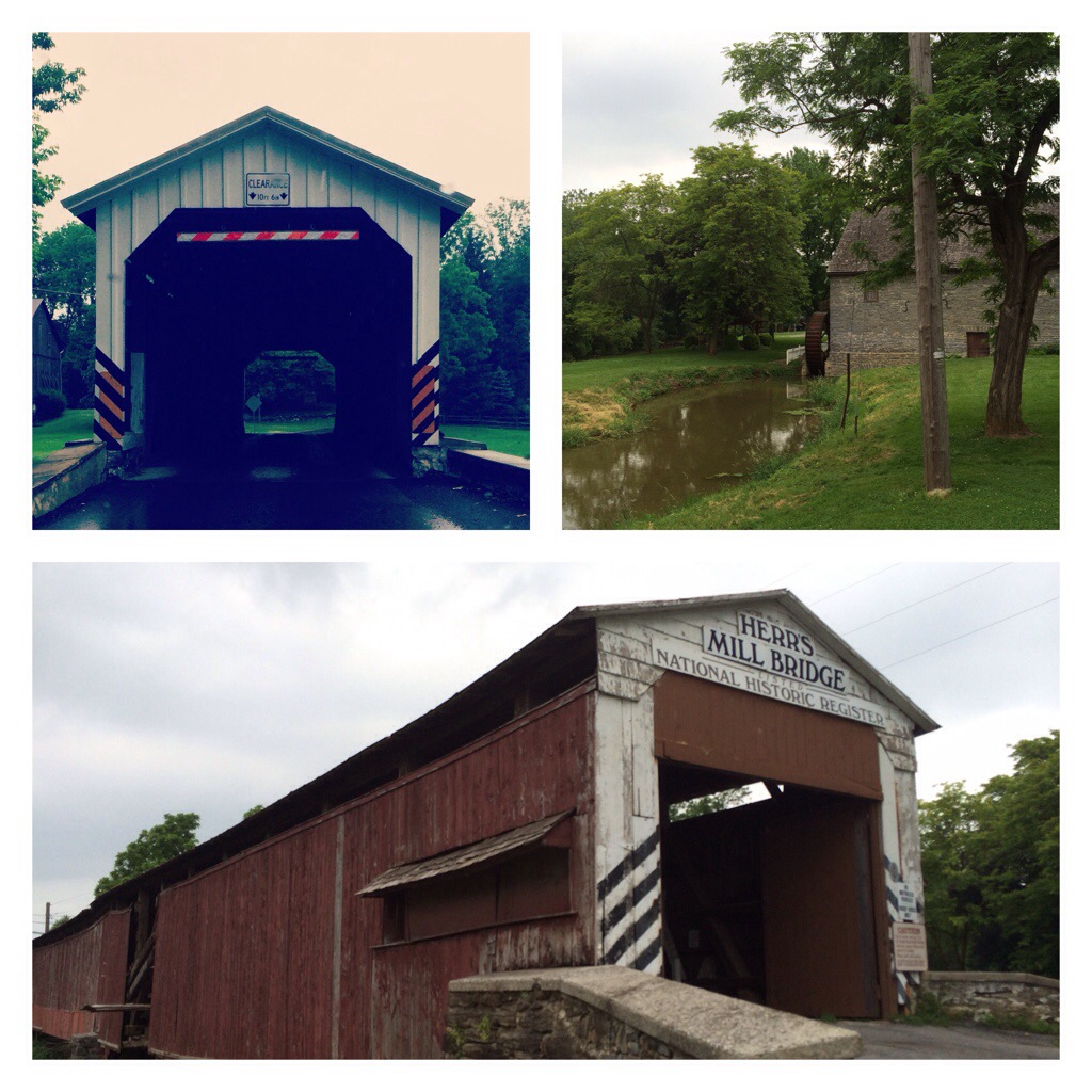 Discovering Covered Bridges