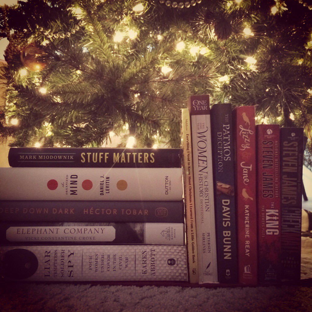 Plenty of books under the Christmas tree!