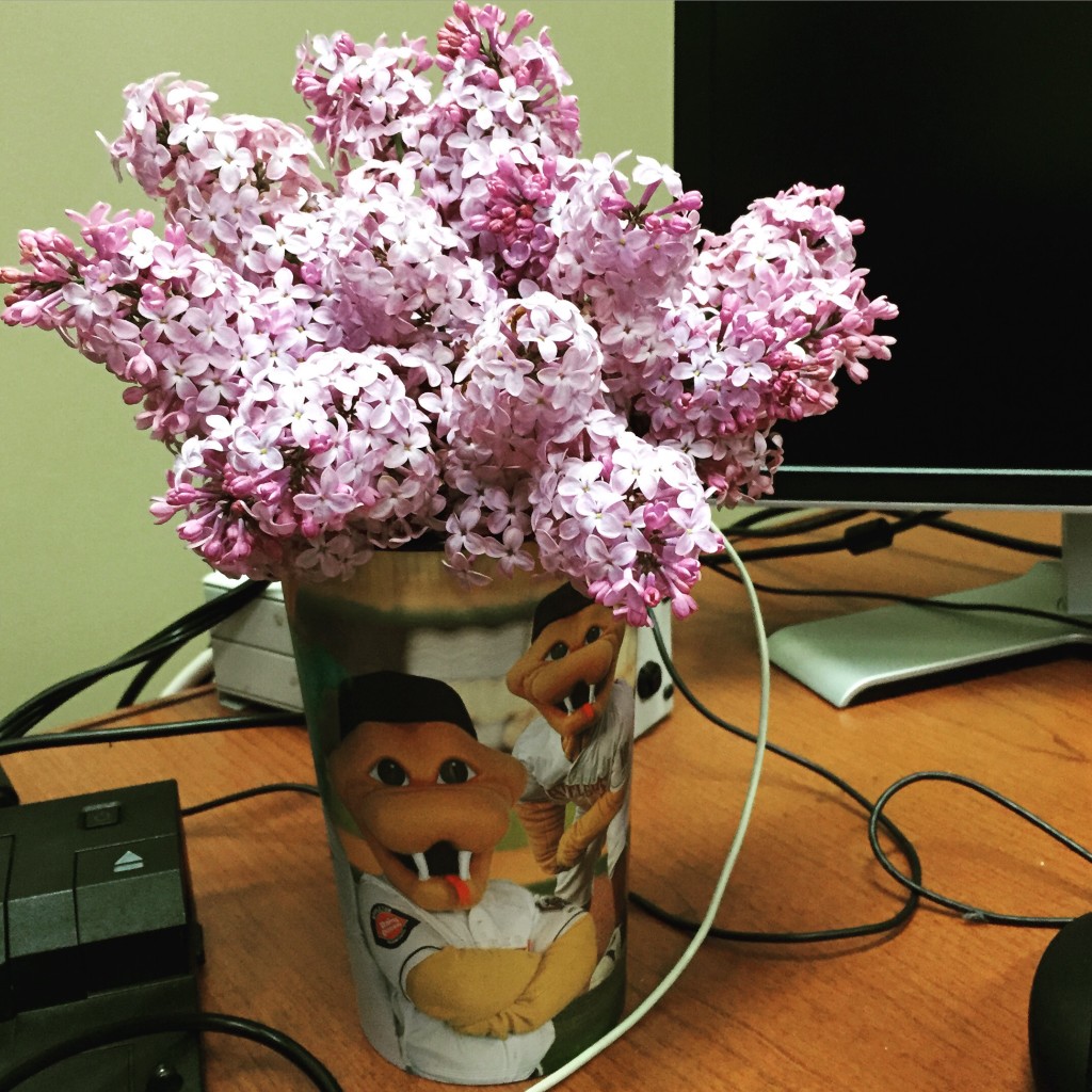Tradition - Lilacs on my desk in Marinette!