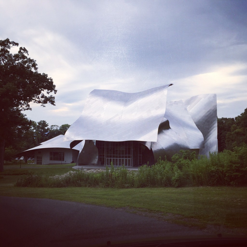 The gorgeous Gehry designed theater at Bard College...