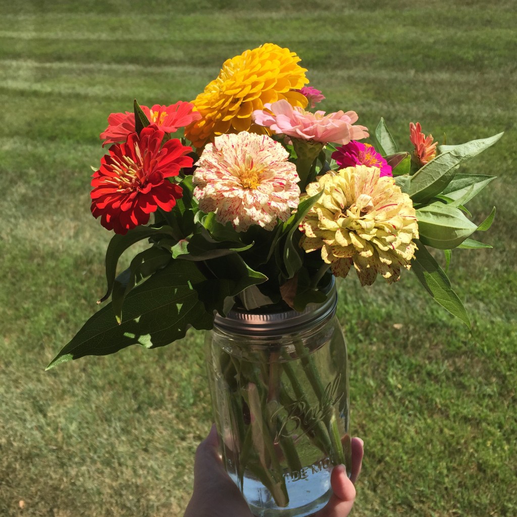 A farm stand bouquet to start the month