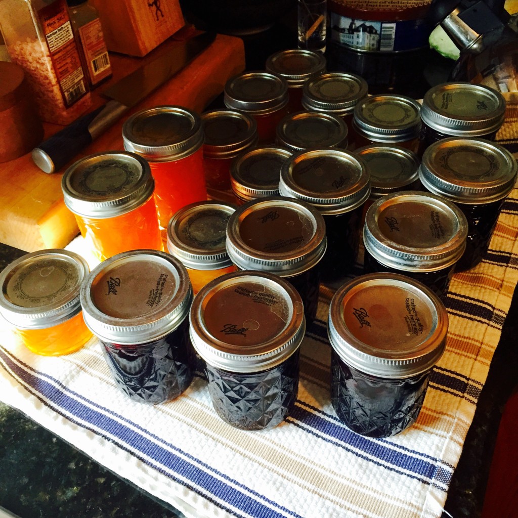 Jam & Pickled Blueberries ready to put up