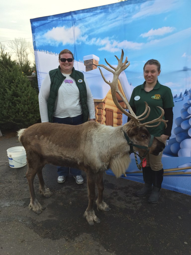 Ran into a reindeer while finishing Christmas shopping on a Saturday