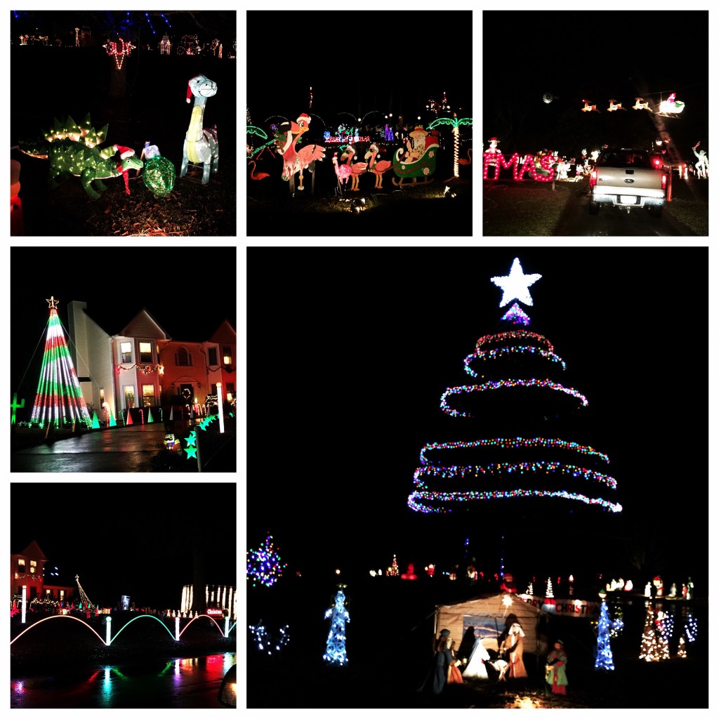 A fun evening driving around the county looking at Christmas lights...